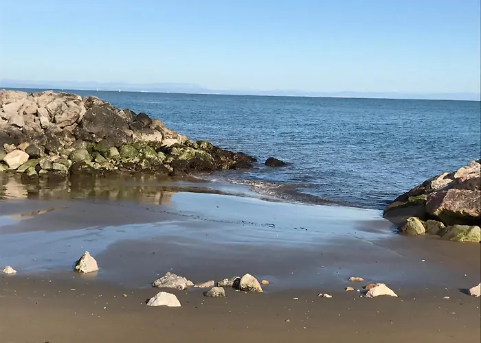 Dinky 237 דירה *